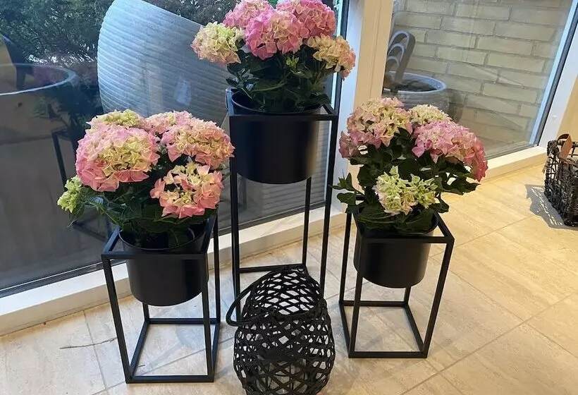 Aamiaismajoitus (B&B) Sov Godt Herning