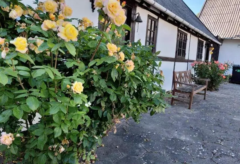 Dåstrup Bed & Breakfast