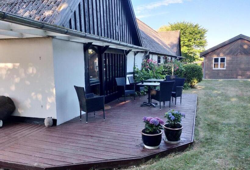 Dåstrup Bed & Breakfast