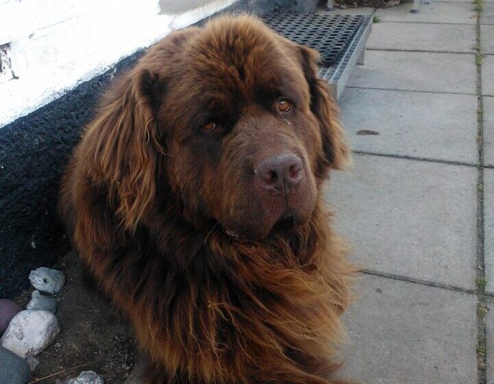 Holmehuset Bed & Breakfast