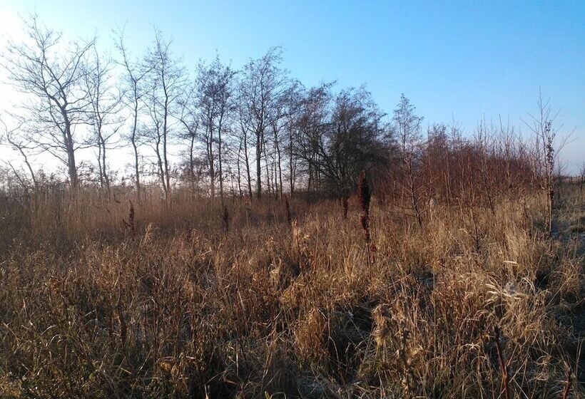 Holmehuset Bed & Breakfast