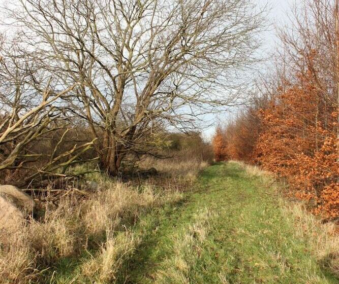 Holmehuset Bed & Breakfast