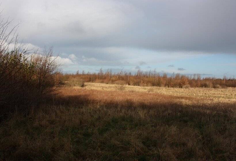 Holmehuset Bed & Breakfast