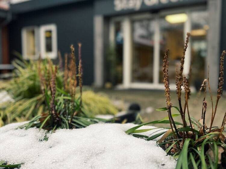 ユースホステル Koncept