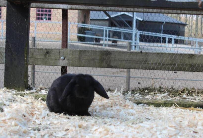 Louiselund Bed & Breakfast