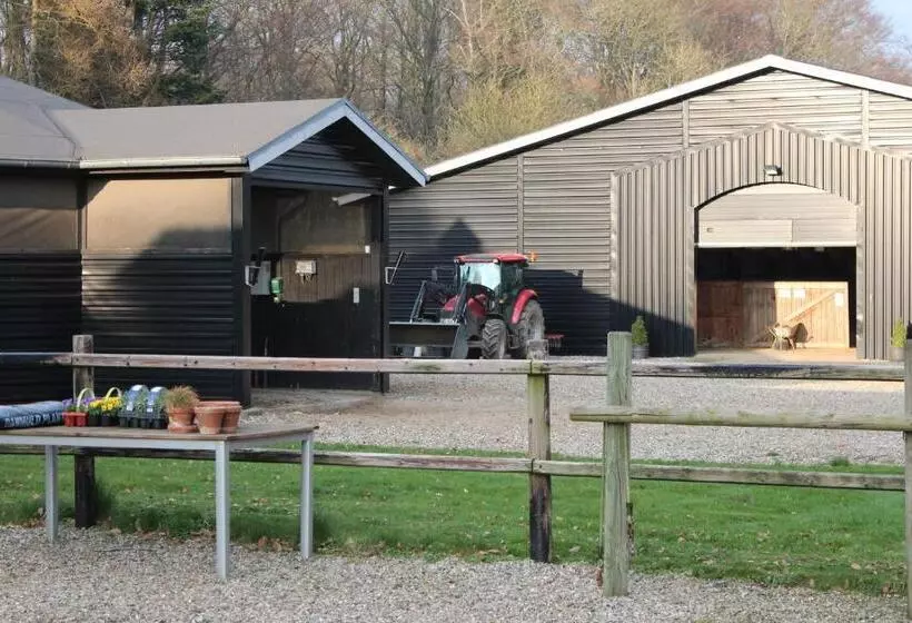 Louiselund Bed & Breakfast