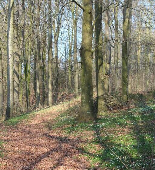 Louiselund Bed & Breakfast