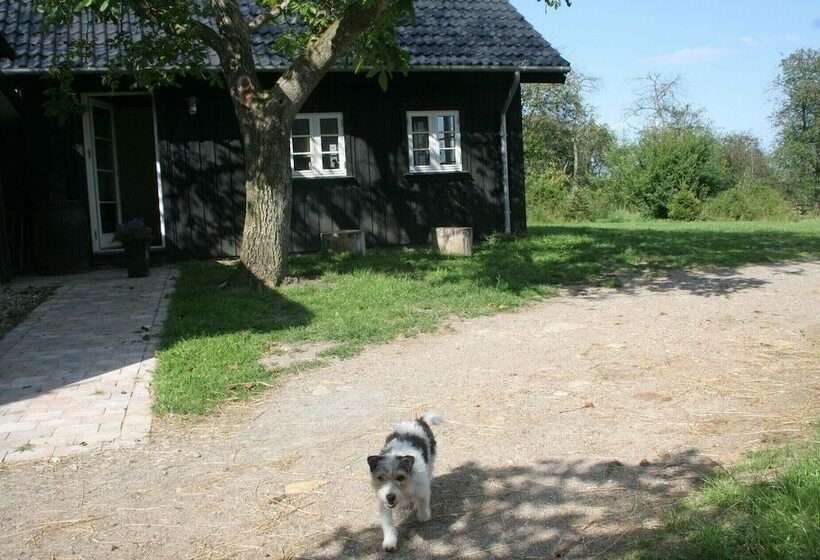 Teglgaarden Bed And Breakfast