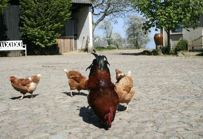 Teglgaarden Bed And Breakfast