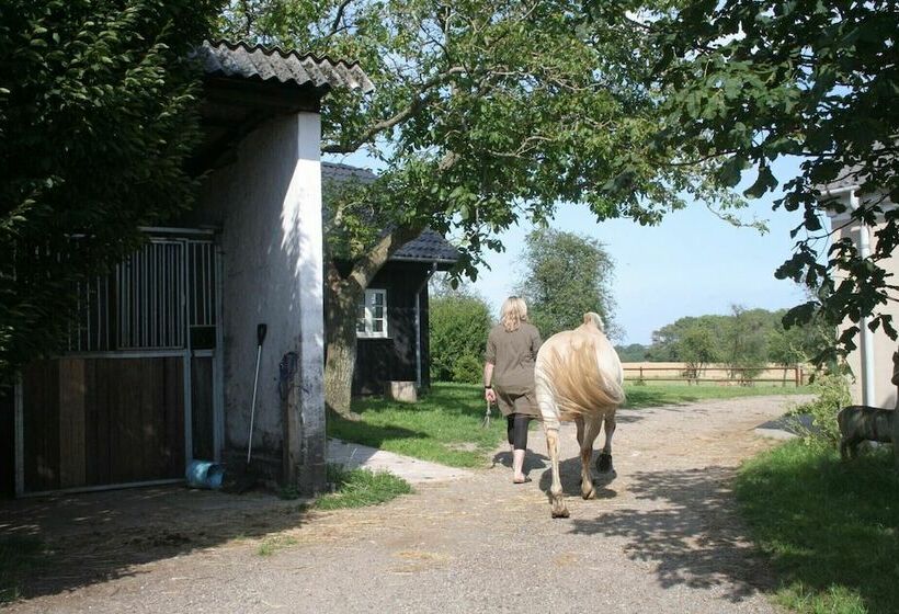 Teglgaarden Bed And Breakfast