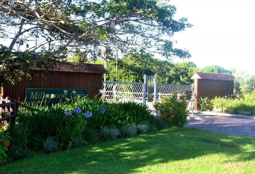 Baviaanshoek
