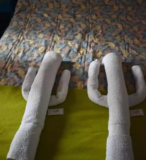 تختخواب و صبحانه Hospedaje Los Cardones