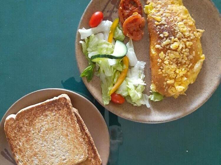 Bed and Breakfast Zebra Guesthouse