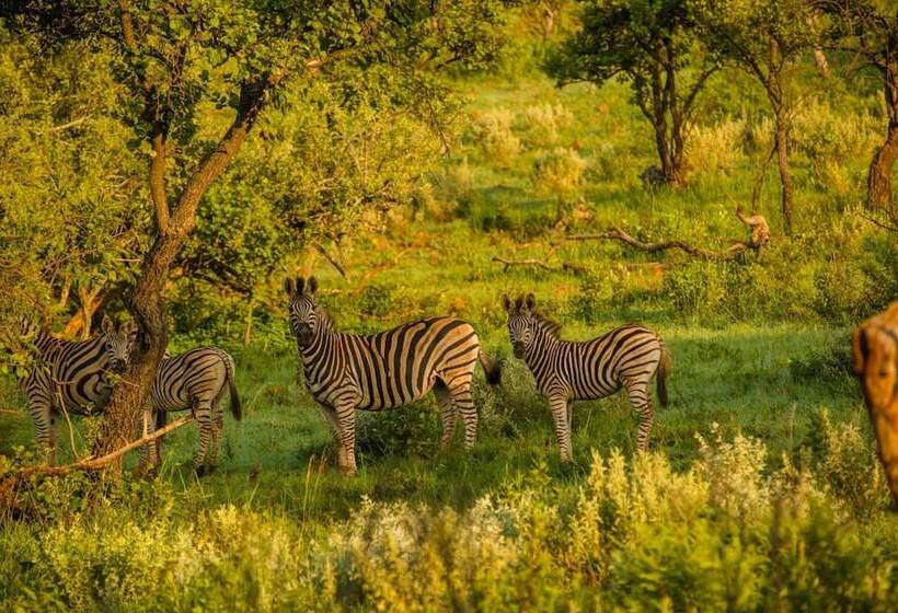 ホテル Humala River Lodge