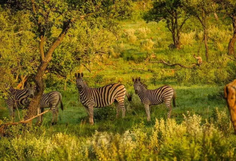 هتل Humala River Lodge