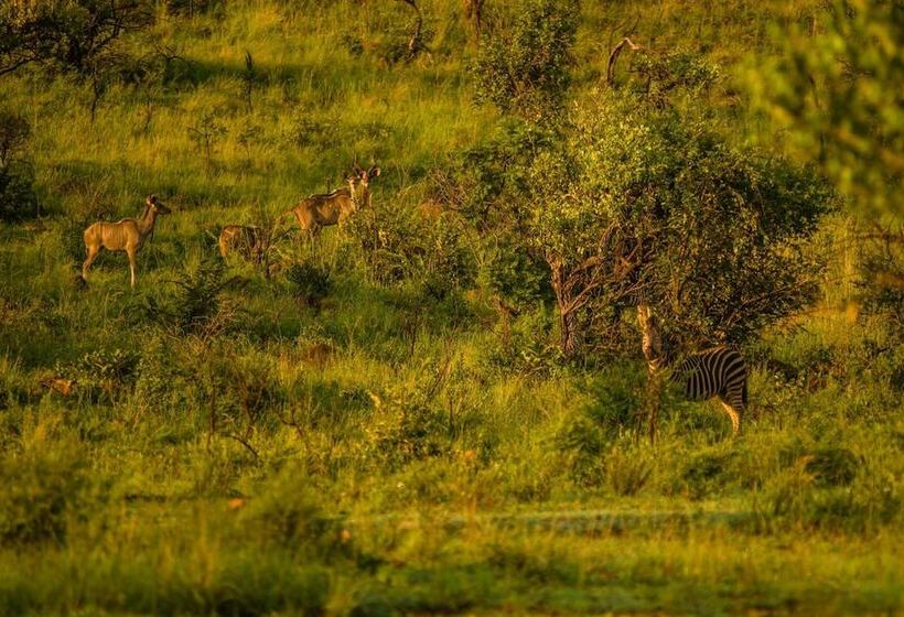 ホテル Humala River Lodge