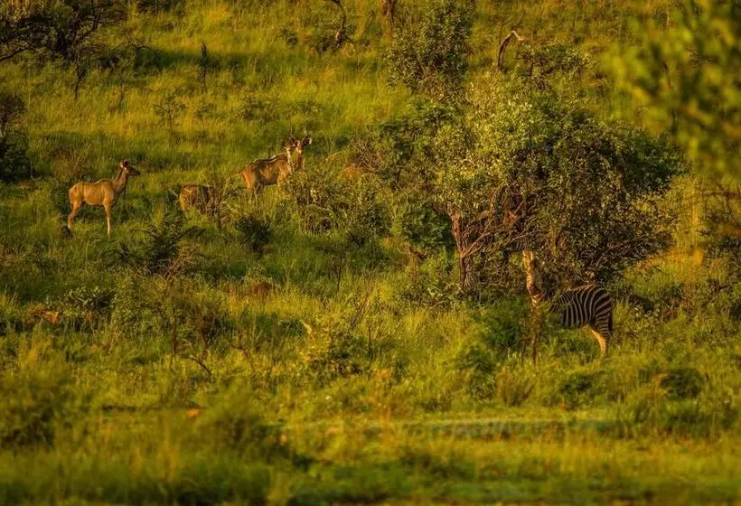 هتل Humala River Lodge
