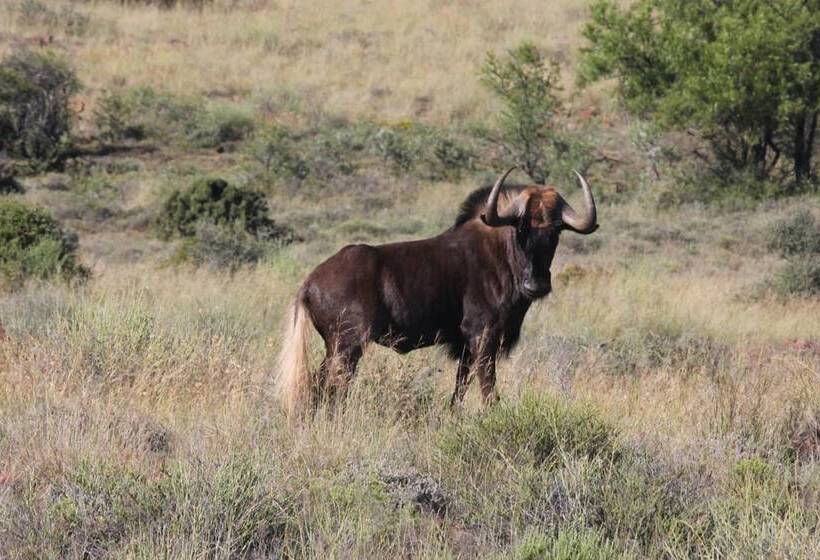 호텔 Ko Ka Tsara Bush Camp