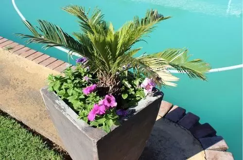 ホテル Lodge Linga Longa