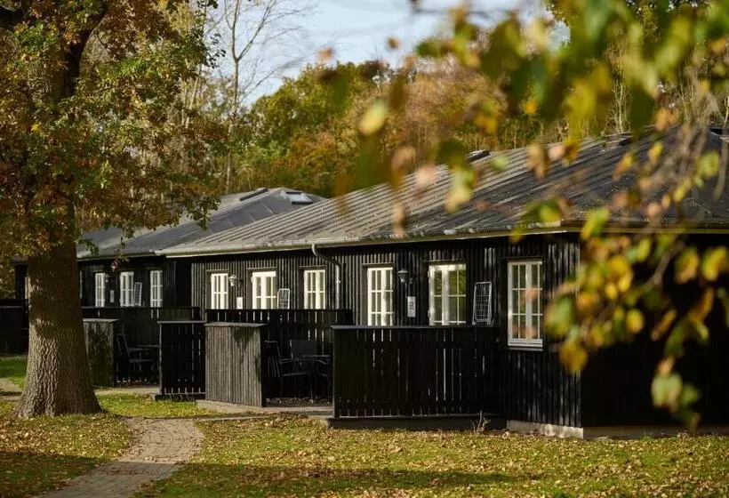Hôtel Rørvig Centret