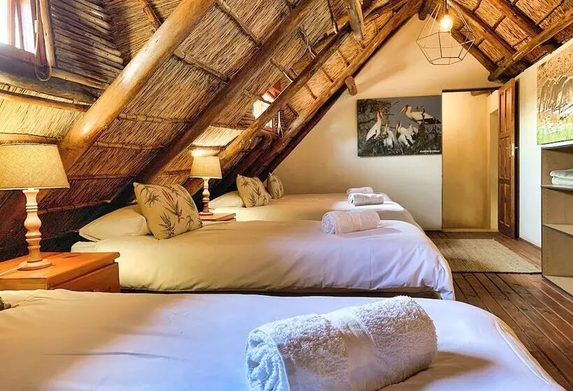 ホテル Tshikwalo Game Lodge