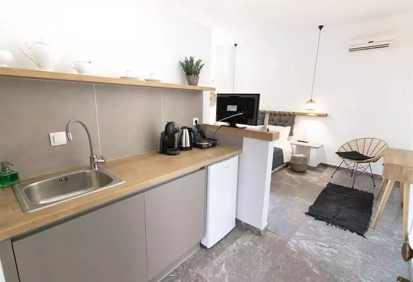 Olga Studios