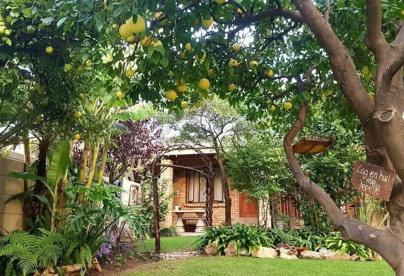 ペンション Citrus Lane Guesthouse