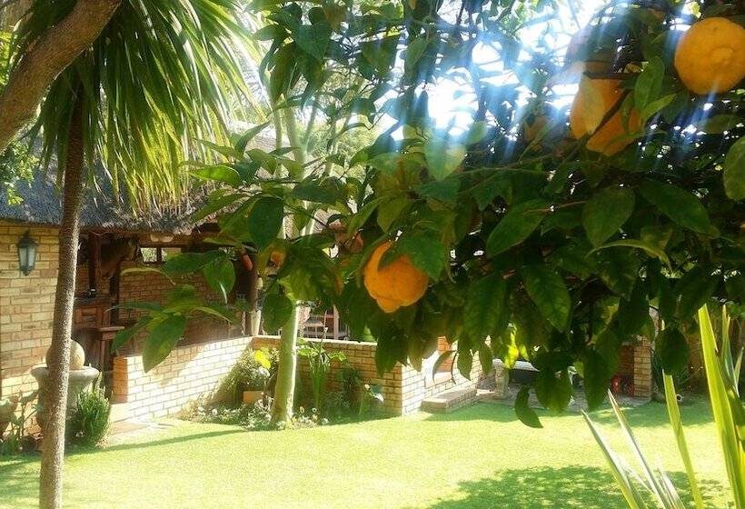 פנסיון Citrus Lane Guesthouse