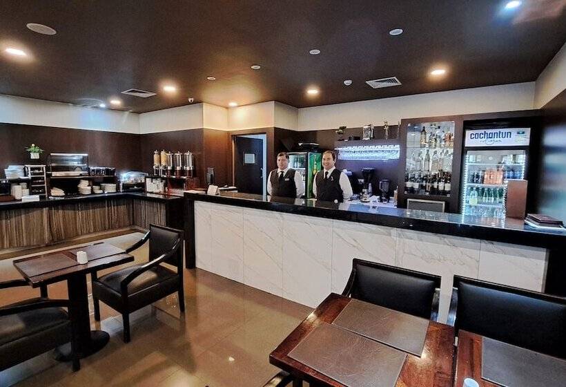 酒店 Diego De Almagro Curico