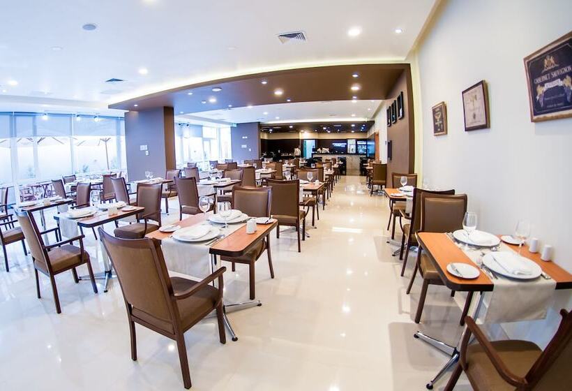 酒店 Diego De Almagro Curico