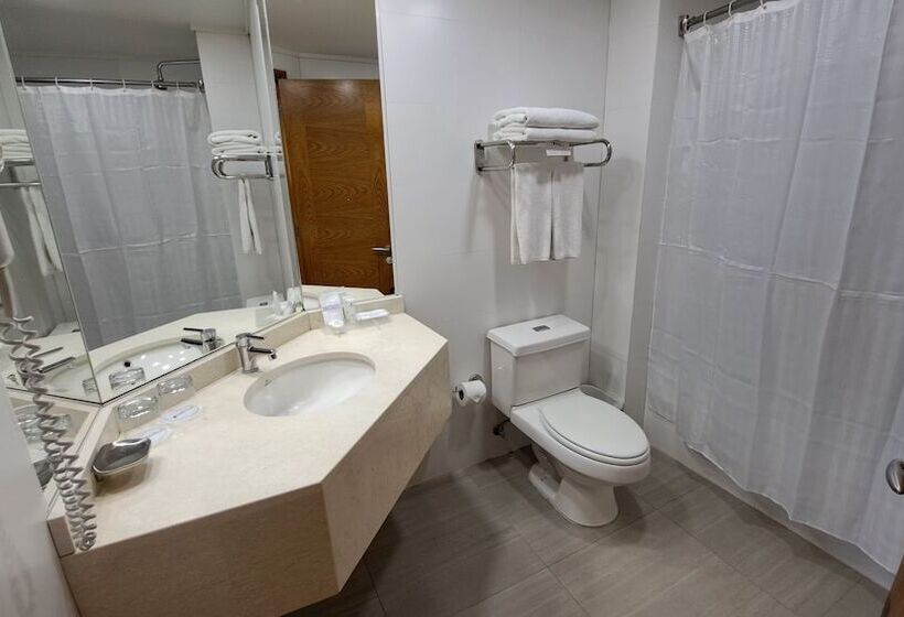 酒店 Diego De Almagro Curico