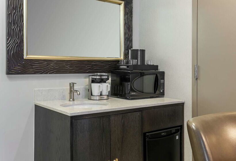 فندق Embassy Suites By Hilton Syracuse Destiny Usa