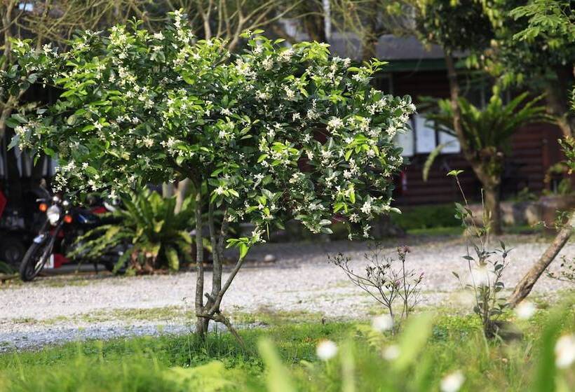 בית מלון כפרי Green Forest Villa