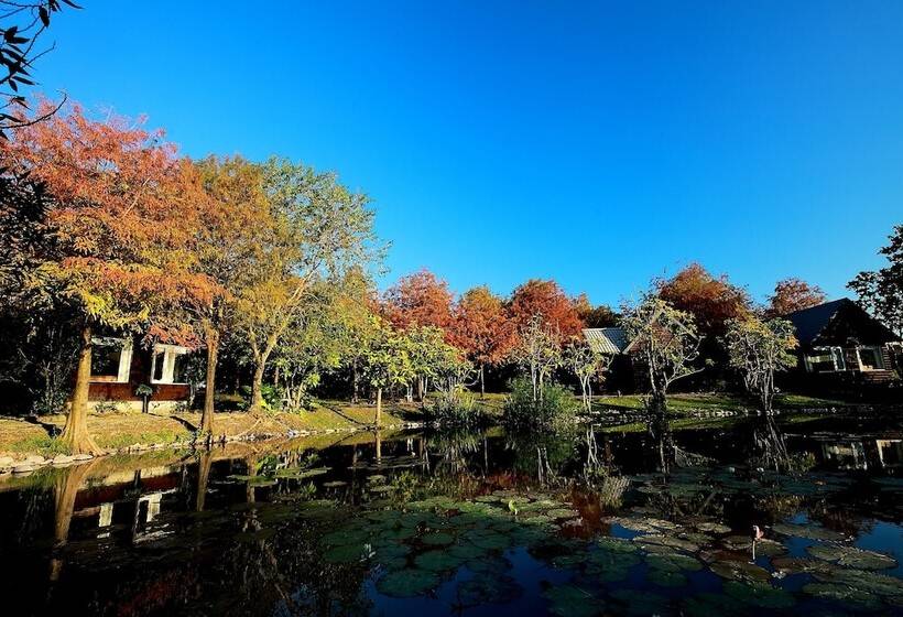 בית מלון כפרי Green Forest Villa