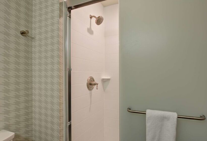 هتل Home2 Suites By Hilton Tampa Usf Near Busch Gardens