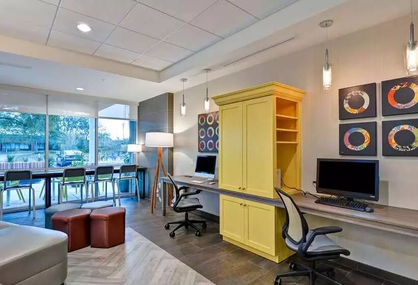 ホテル Home2 Suites By Hilton Tampa Usf Near Busch Gardens