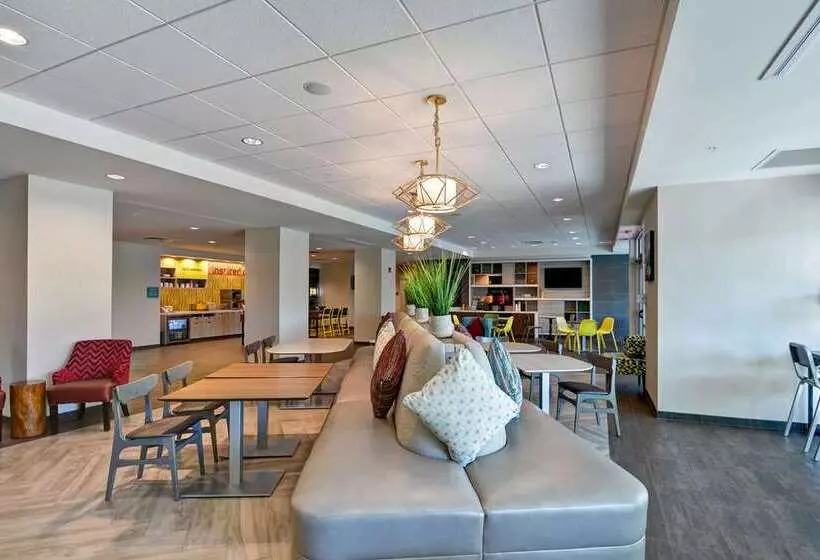 ホテル Home2 Suites By Hilton Tampa Usf Near Busch Gardens