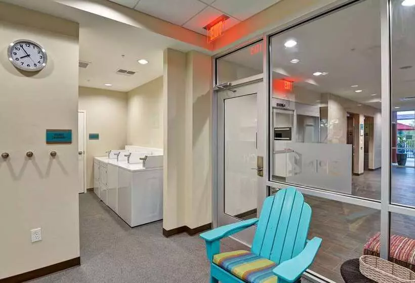 ホテル Home2 Suites By Hilton Tampa Usf Near Busch Gardens