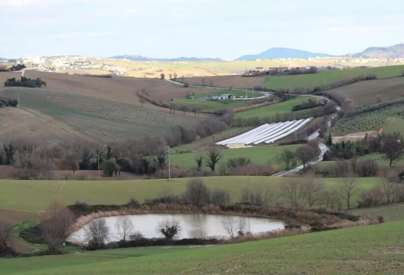 B&b Aesis La Dolce Collina