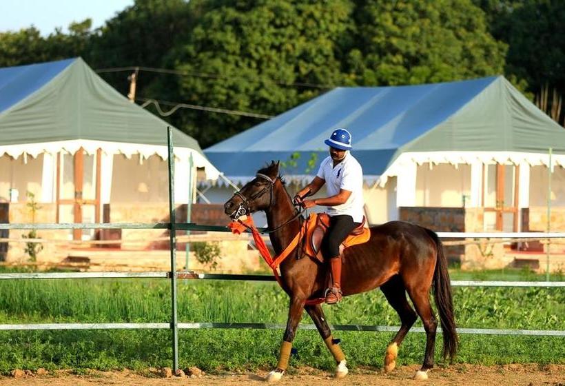 Aamiaismajoitus (B&B) Maa Ashapura Resort
