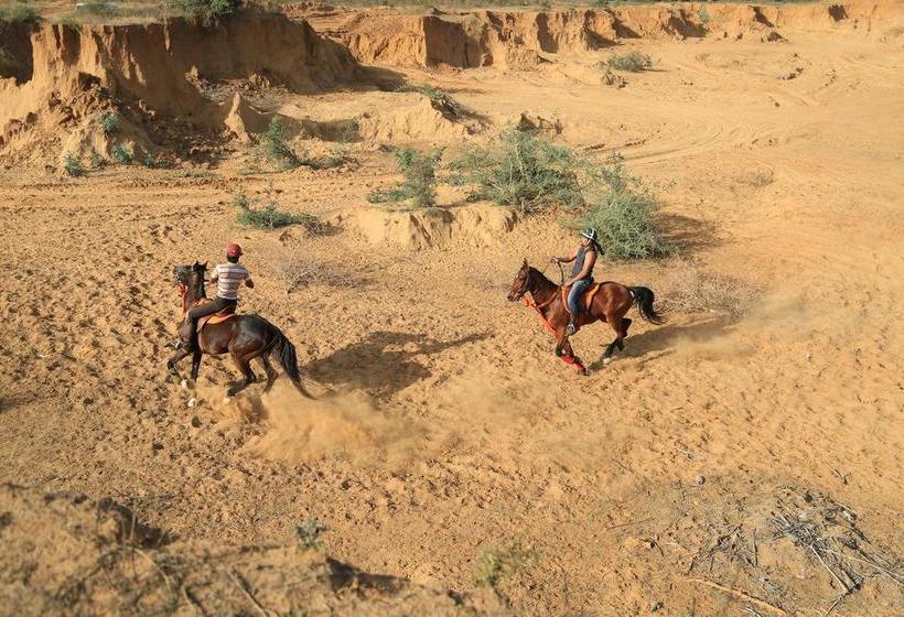 Aamiaismajoitus (B&B) Maa Ashapura Resort