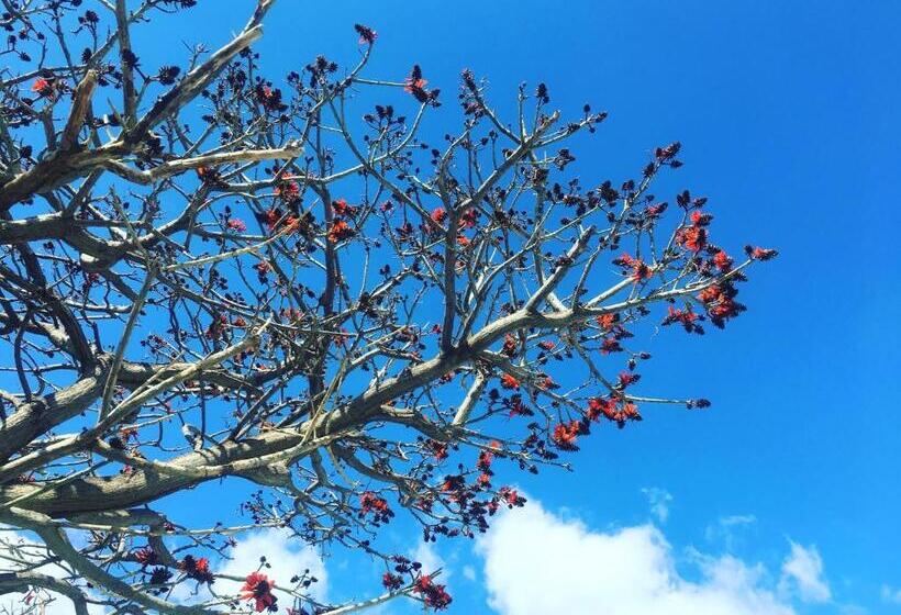 هتل Don Giacchì Country House