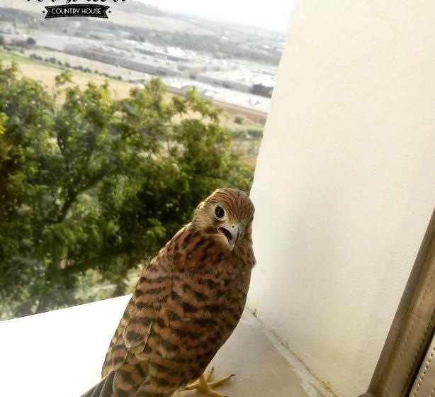 هتل Don Giacchì Country House