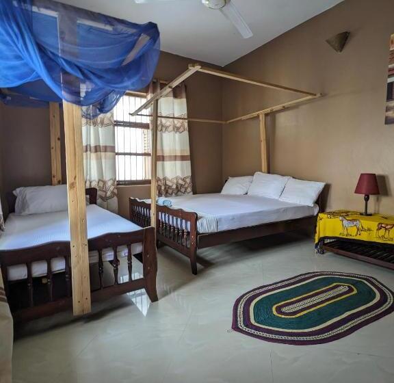 ホテル Flamingo Guest House Znz