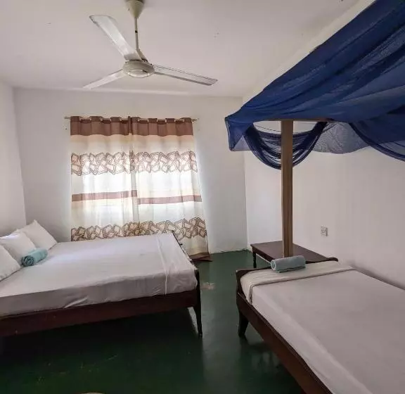 ホテル Flamingo Guest House Znz