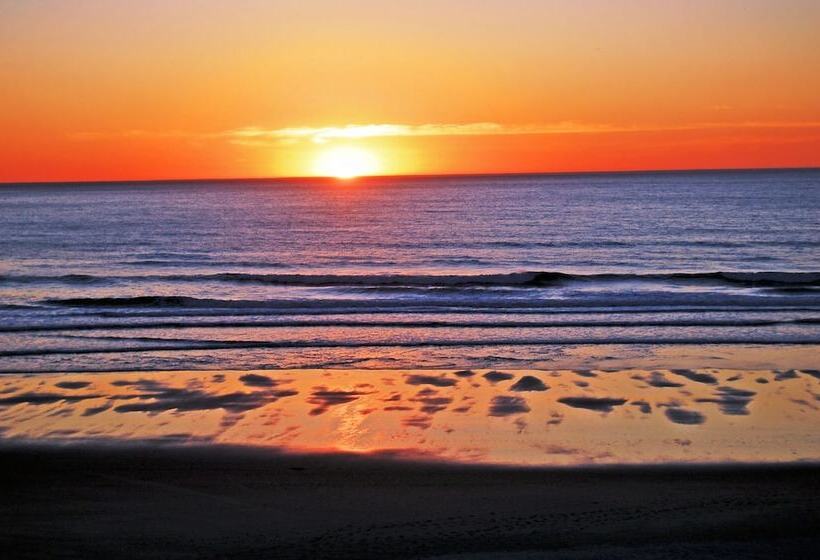 فندق Nelscott Manor