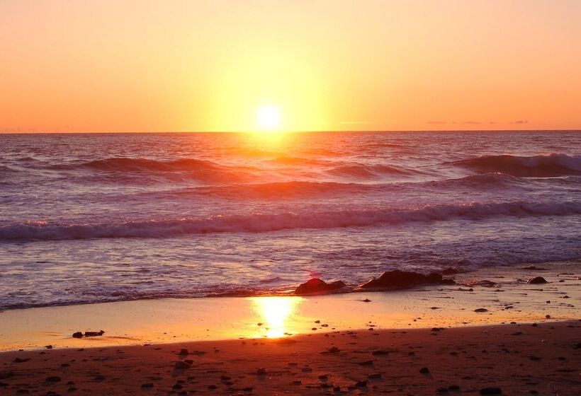 فندق Nelscott Manor