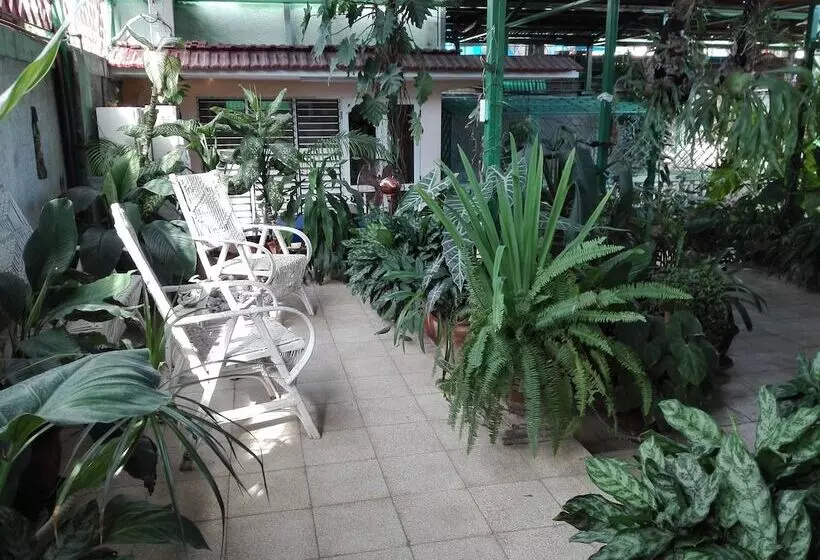 Hostal Casa Confort