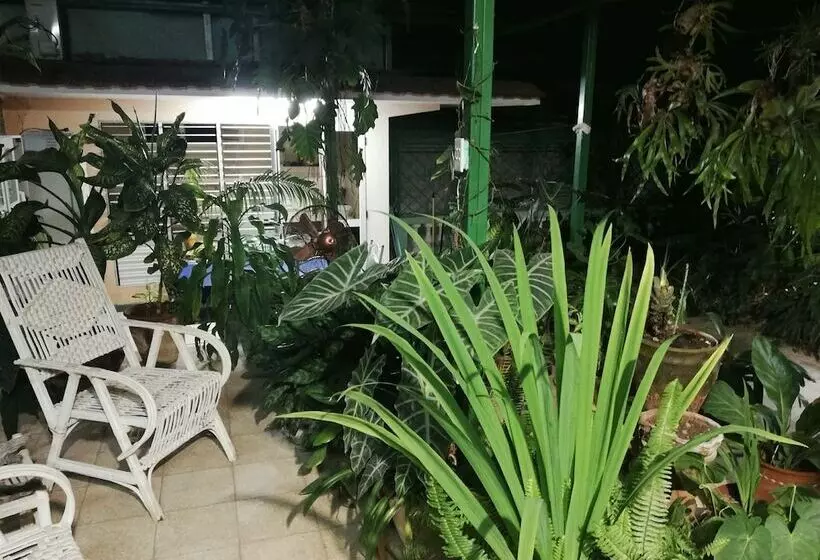 Hostal Casa Confort