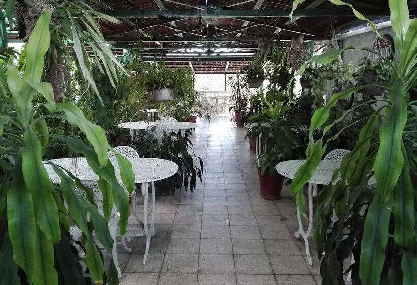 Hostal Casa Confort
